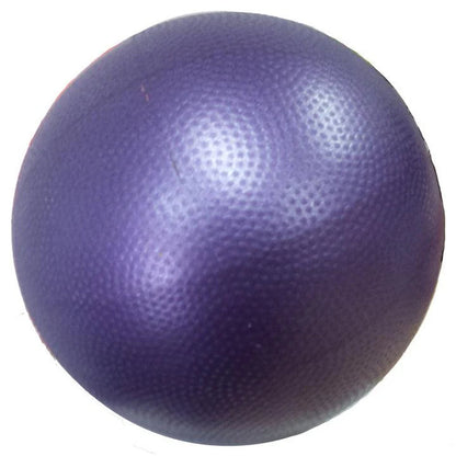 Workoutz 9-Inch Mini Yoga and Pilates Ball